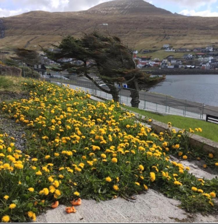 The Atlantic View Guest House, Sandavagur, Faroe Islands Kültér fotó